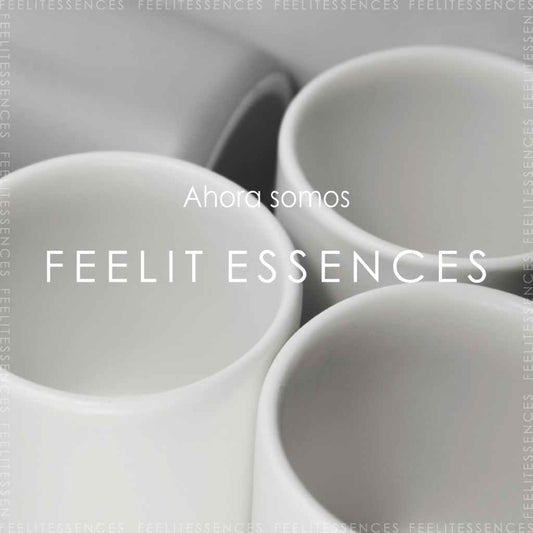 Feelit Cosmetics pasa a ser Feelit Essences