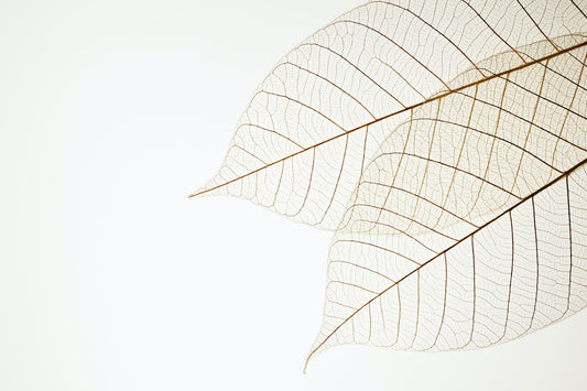 Elige para tu vida solo aquello que te hace bien- Beneficios de la cosmética natural